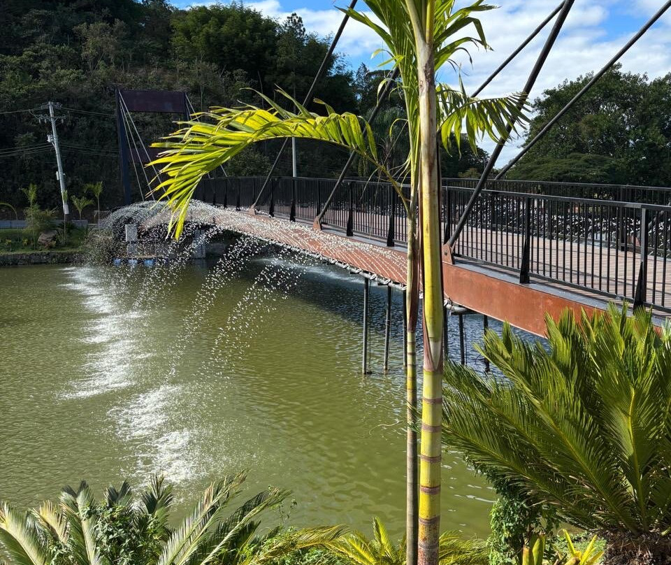 Lago Javary-Miguel Pereira必去景点