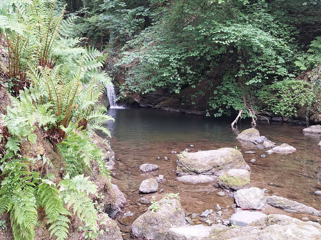 Plas Cadnant Hidden Gardens-Menai Bridge必去景点