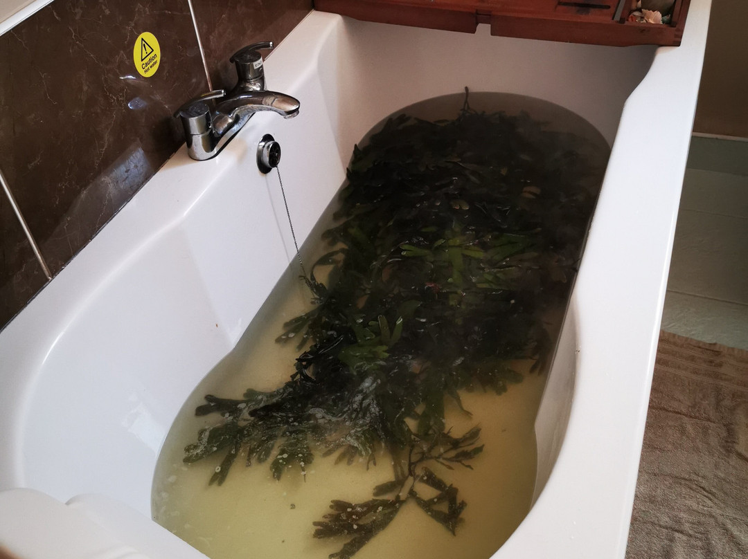 Aran Seaweed Baths and Spa-Inisheer必去景点