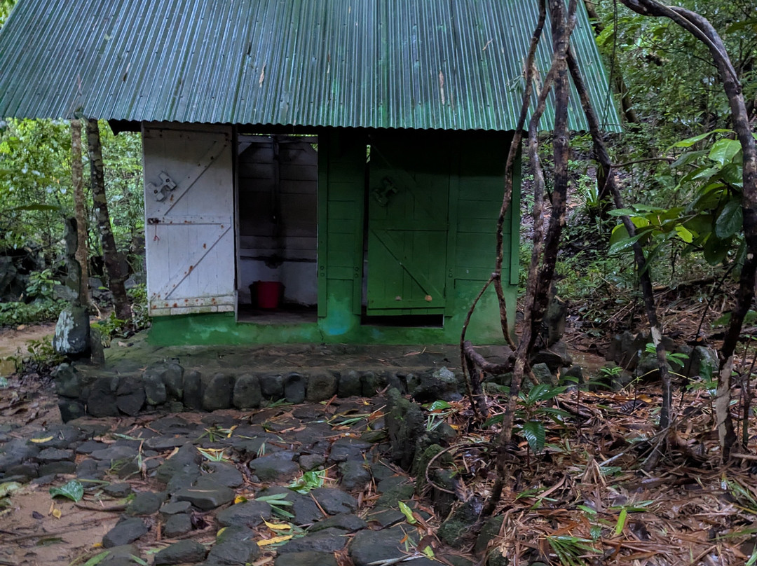 Nosy Mangabe Special Reserve景点图片