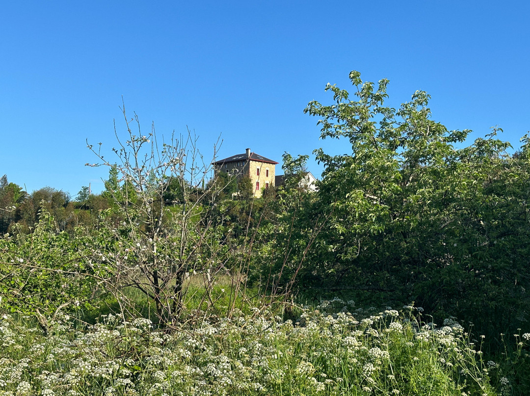 El Castano Dormilon主图