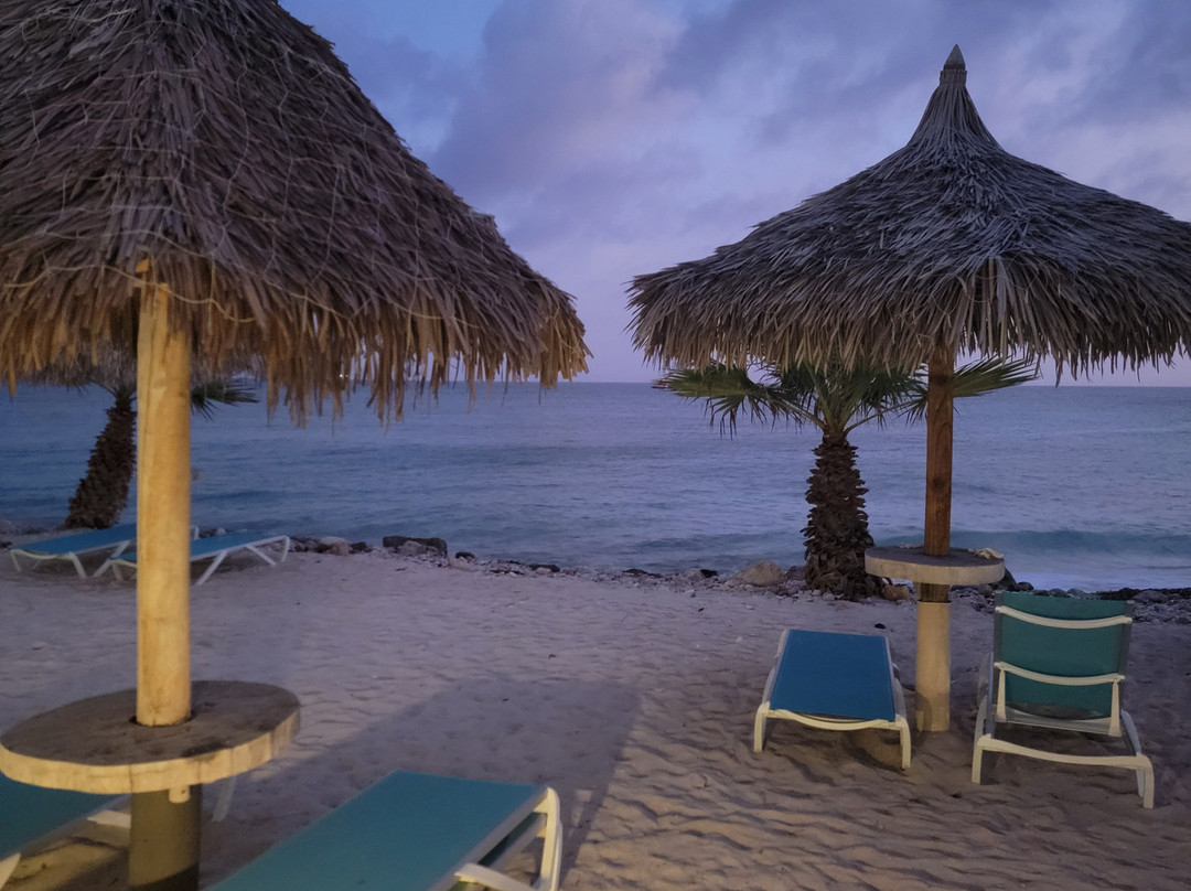 Tamarijn Aruba All Inclusive主图