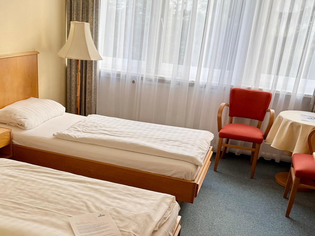 Oberwiesenthaler Panorama Hotel Gmbh主图