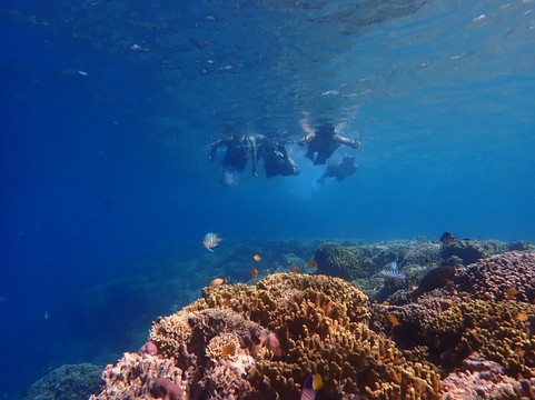 West Bali Discovery-佩母德兰必去景点