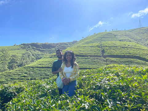 Ayubowan Lanka Tours-奴娃拉伊利雅必去景点