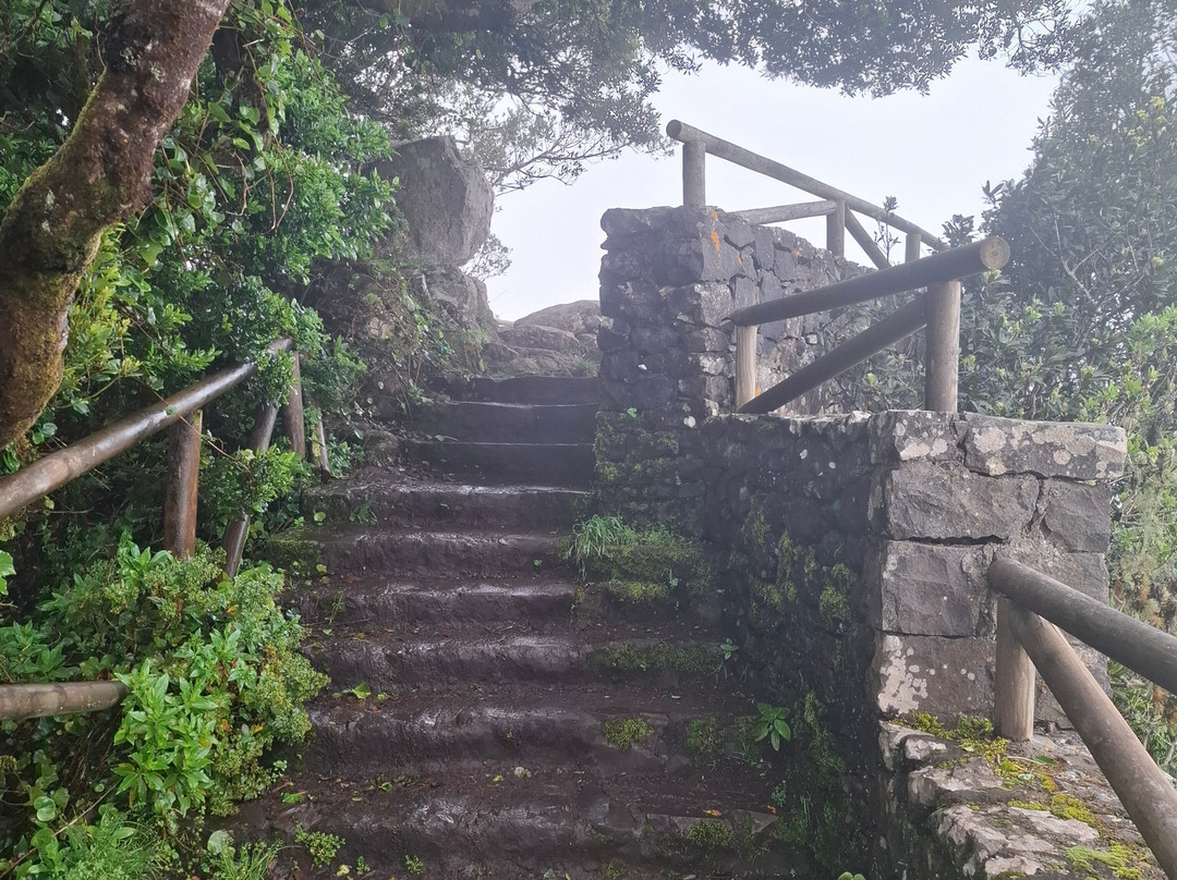 Mirador Pico del Ingles-拉古纳的圣克里斯托波尔城必去景点