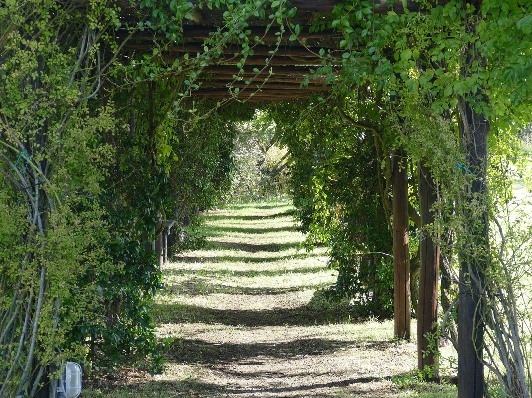 Locanda Rosati主图