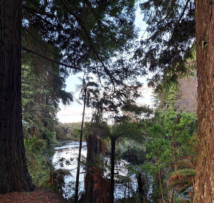 Hamurana Springs Nature Reserve-哈姆拉娜必去景点
