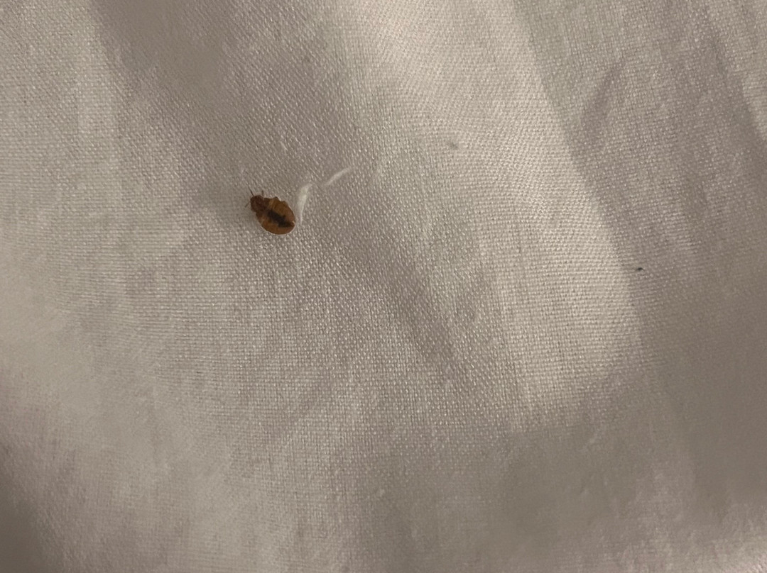 La Quinta Inn & Suites by Wyndham Cincinnati Sharonville主图