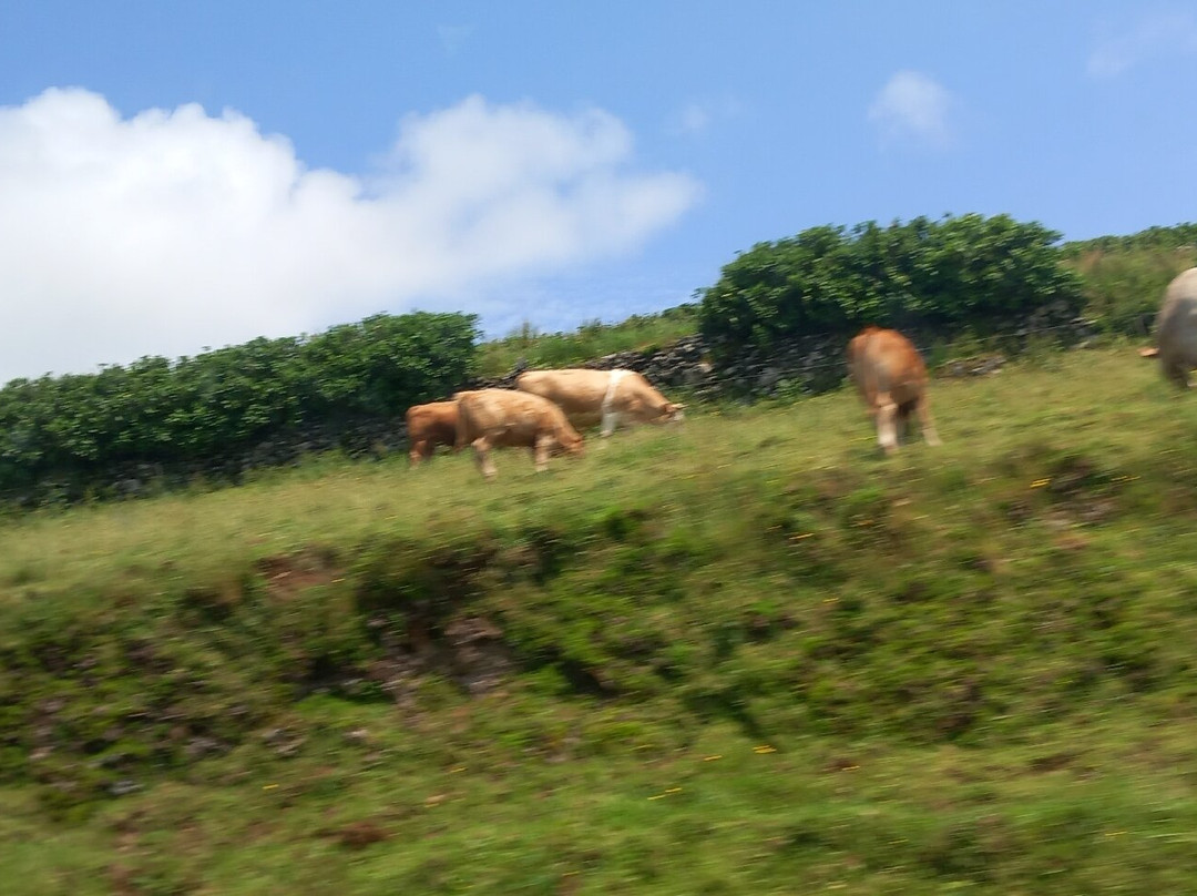 Ilha da Flores-Ilha das Flores必去景点