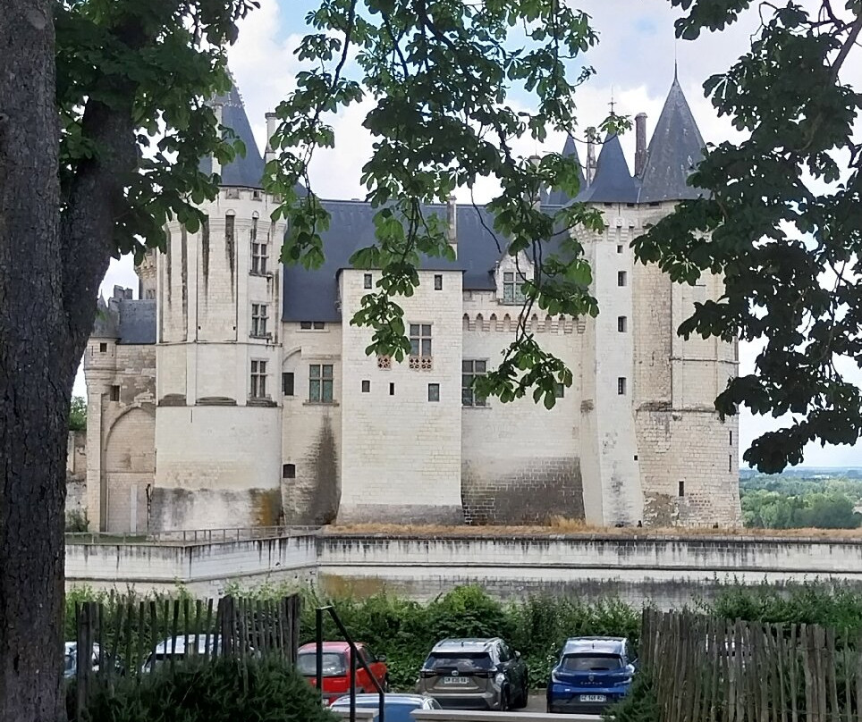 Château-musée De Saumur景点图片
