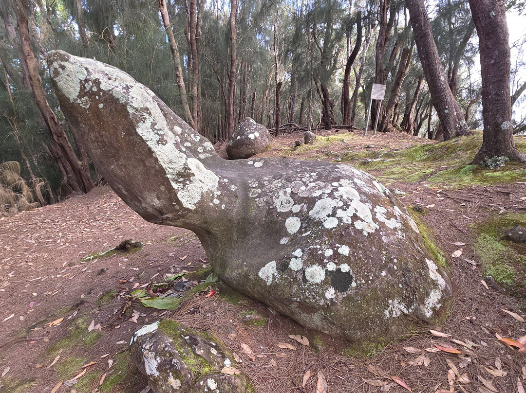 Phallic Rock (Ka Ule o Nanahoa)-霍奥莱胡阿必去景点