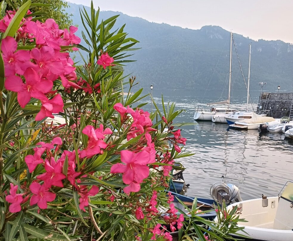 Lungolago-Abbadia Lariana必去景点