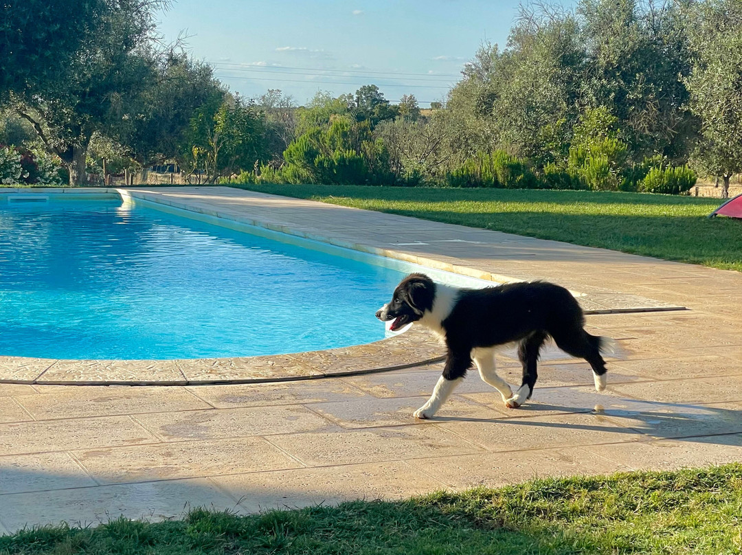 Quinta da Tapada de Sao Pedro主图