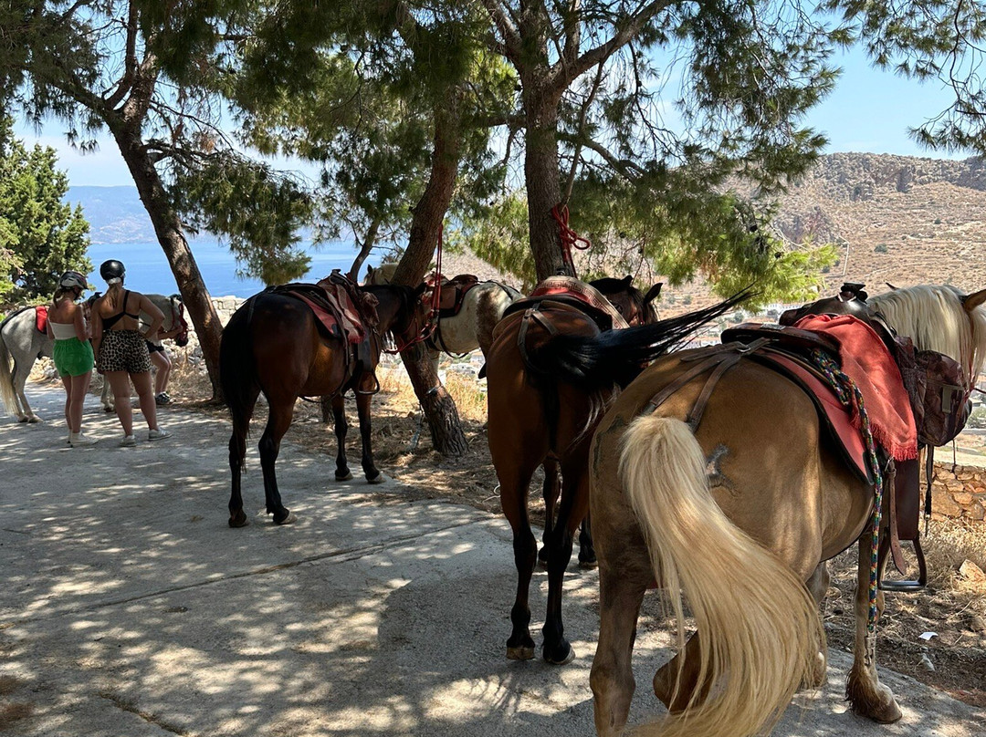 Harriets Hydra Horses-Hydra Town必去景点