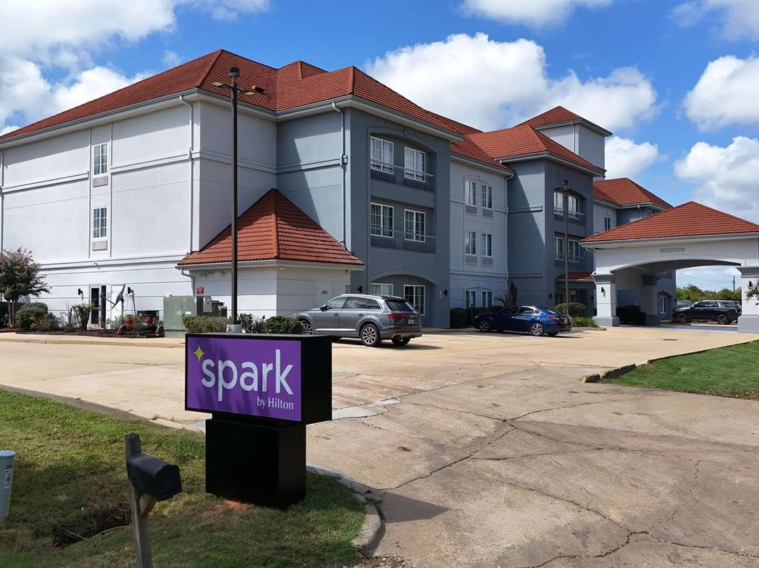 Spark By Hilton Brandon主图