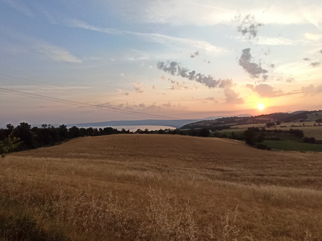 Bed & Breakfast Podere Ospedaletto主图