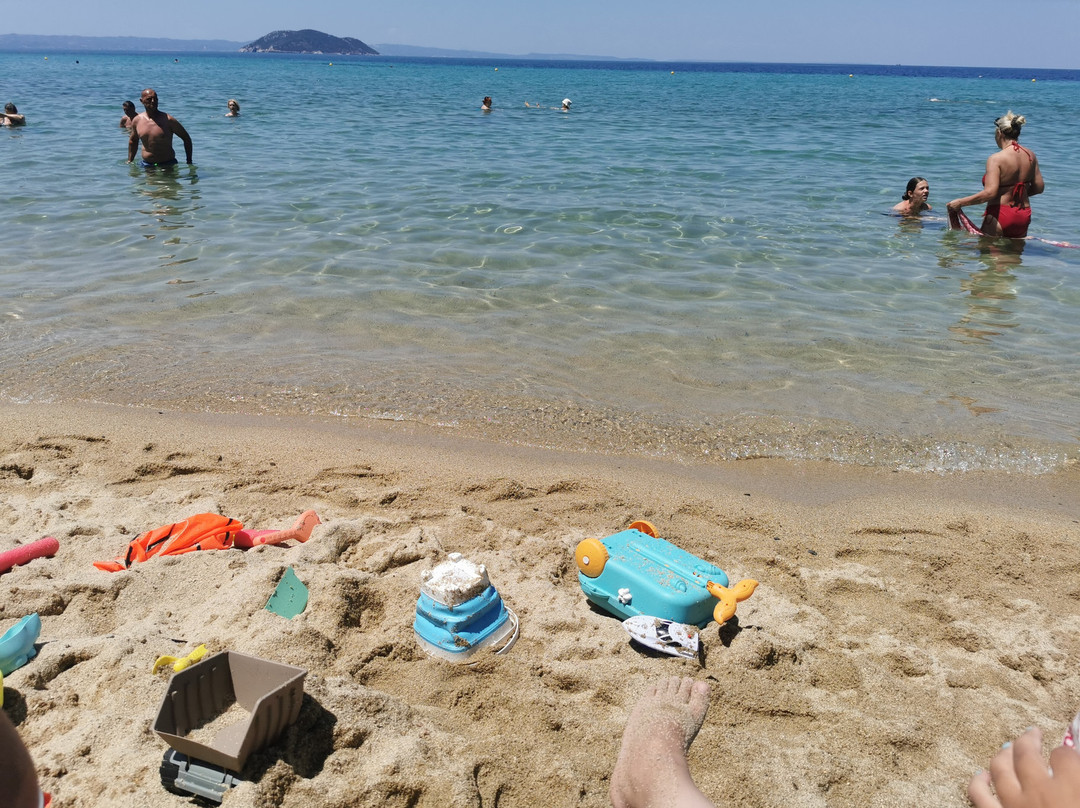 Coconut Beach Bar