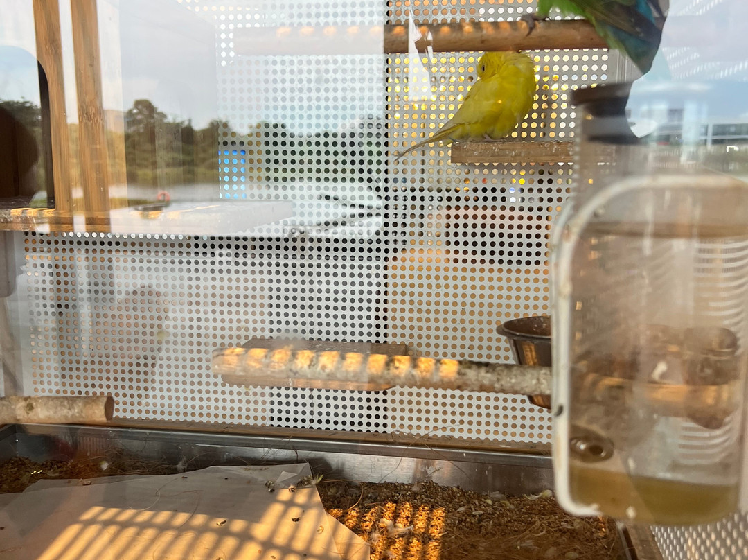 长沙机场凯悦嘉轩酒店主图