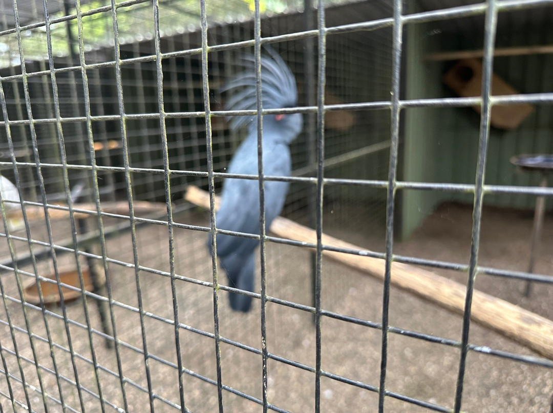 Port Moresby Nature Park-莫尔兹比港必去景点