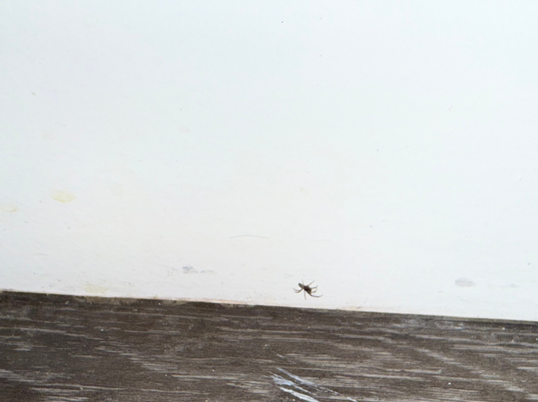 皇家豪斯特贝斯特韦斯特酒店主图