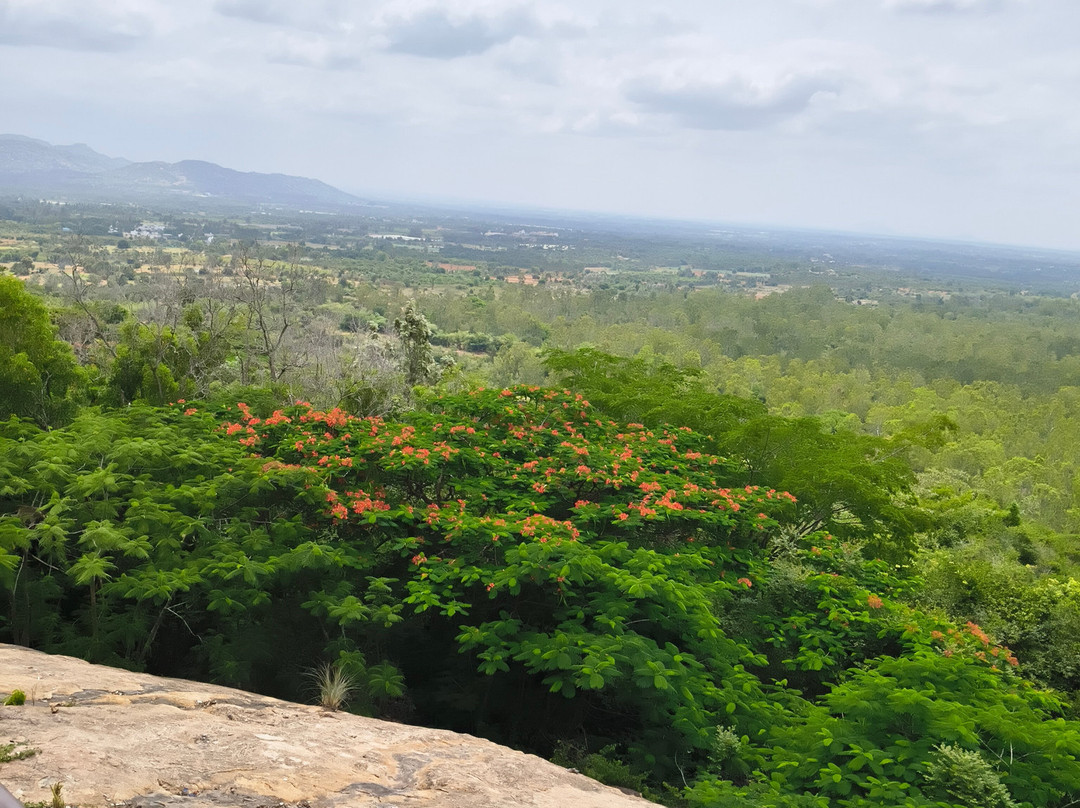 Markandeya Hill-Kolar必去景点