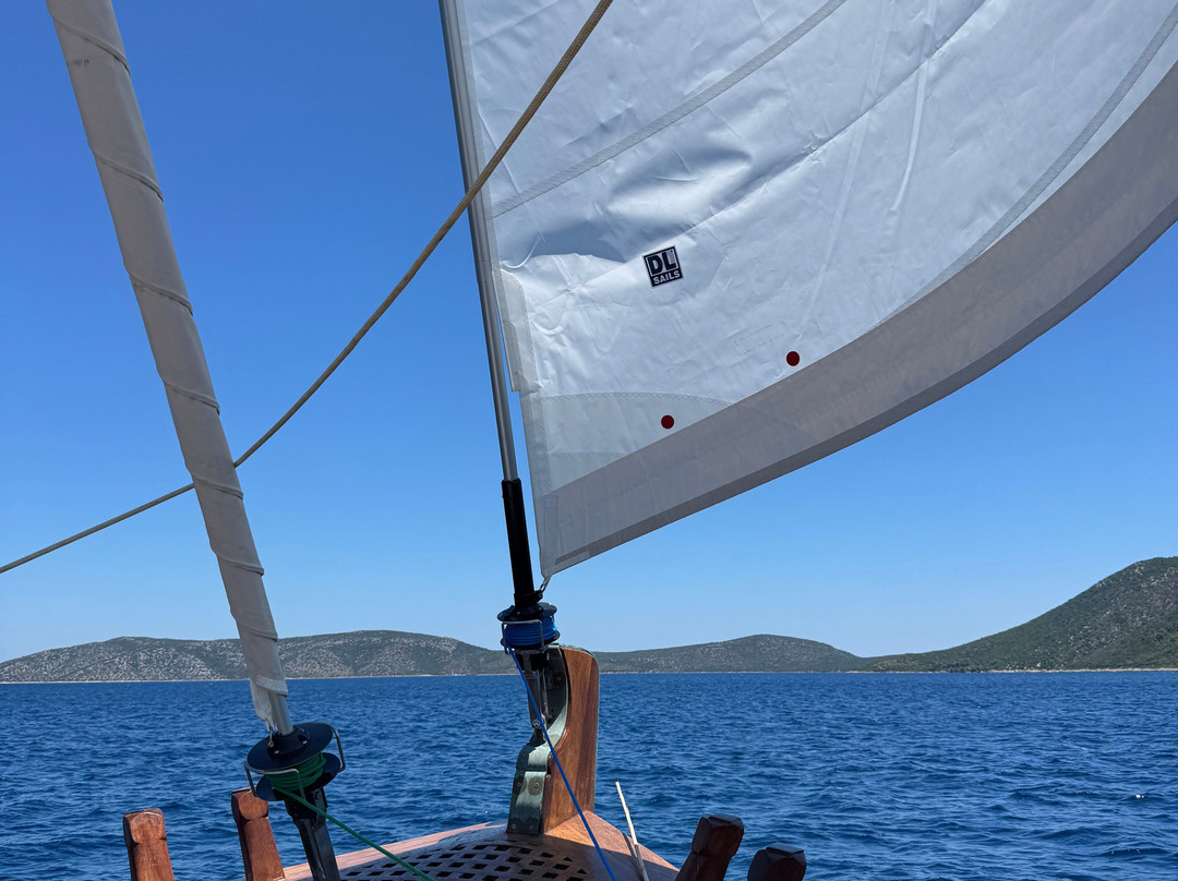 Ena Boat Tours by Mythical Adventures-斯科派洛斯必去景点