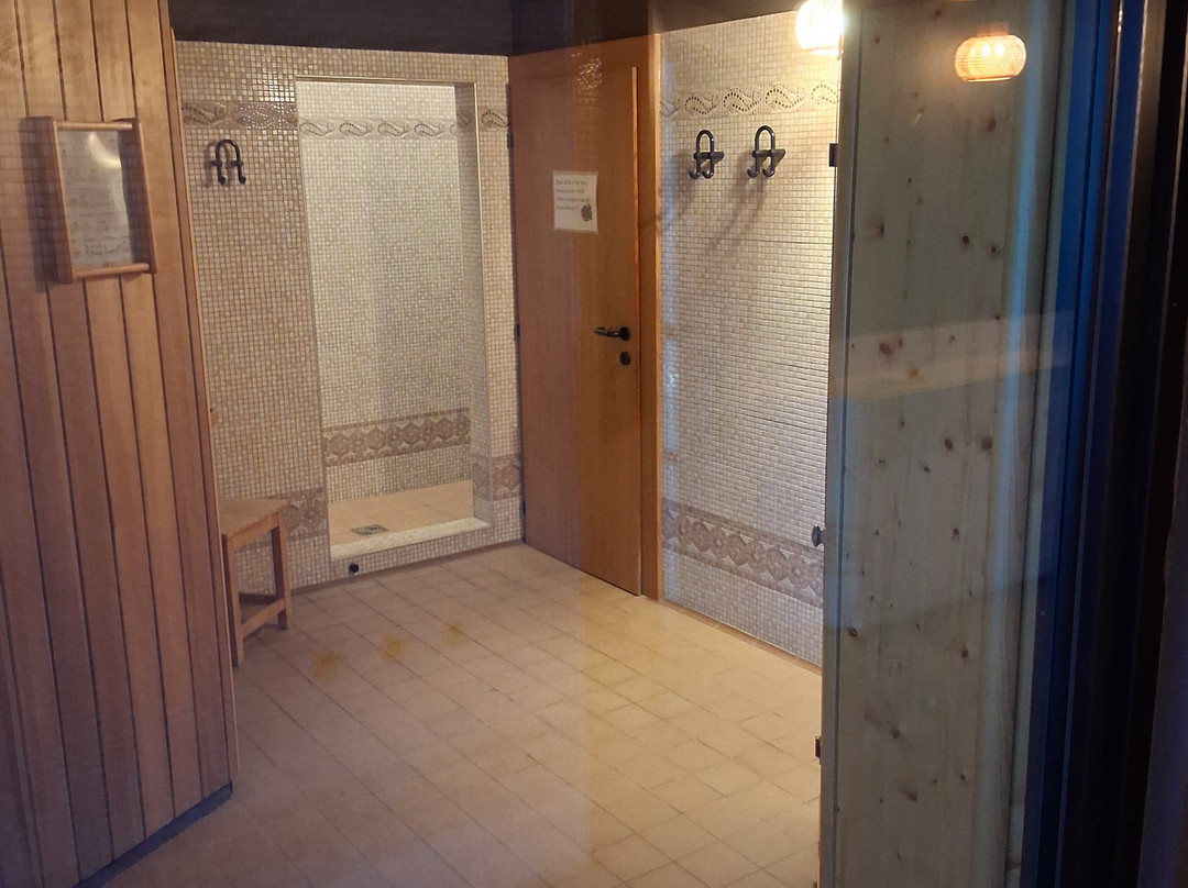 Hotel Birkenhof am See主图