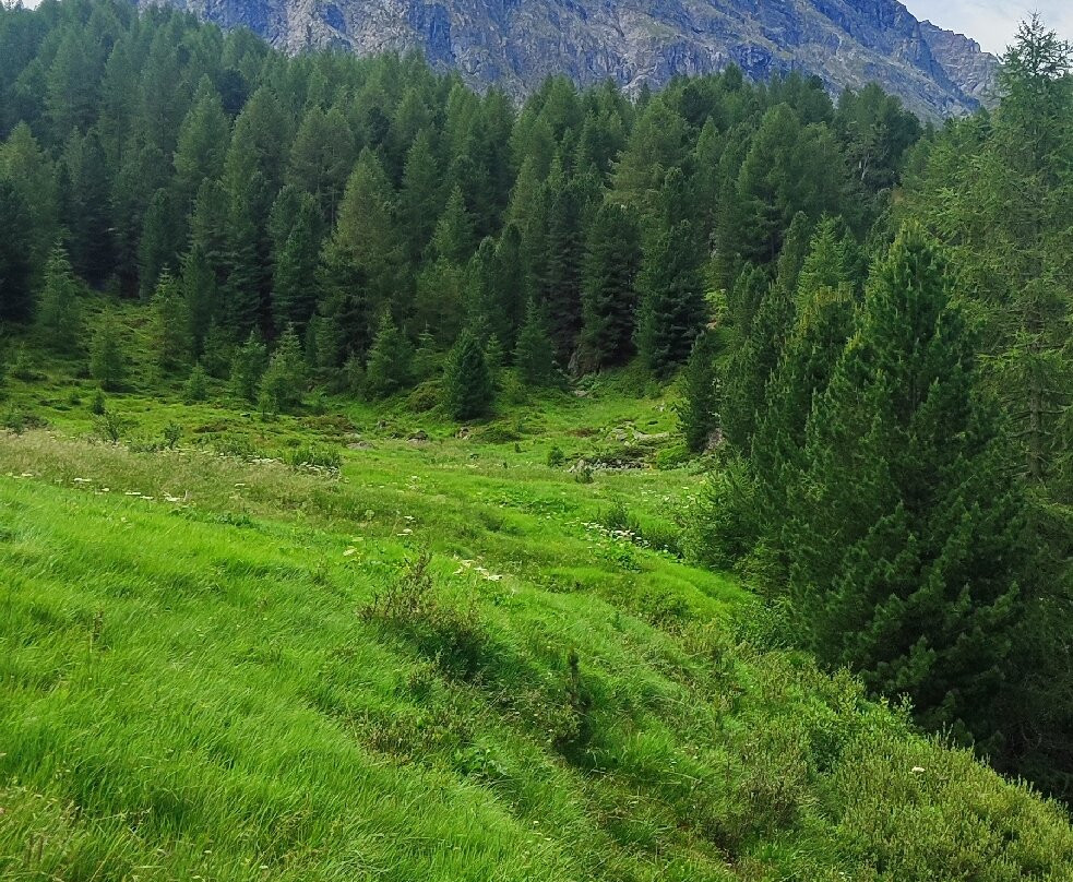Panoramica Sulla Val Viola-博尔米奥必去景点