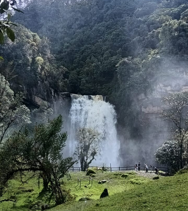 Cascada Nemusten-Sueva-Junin必去景点