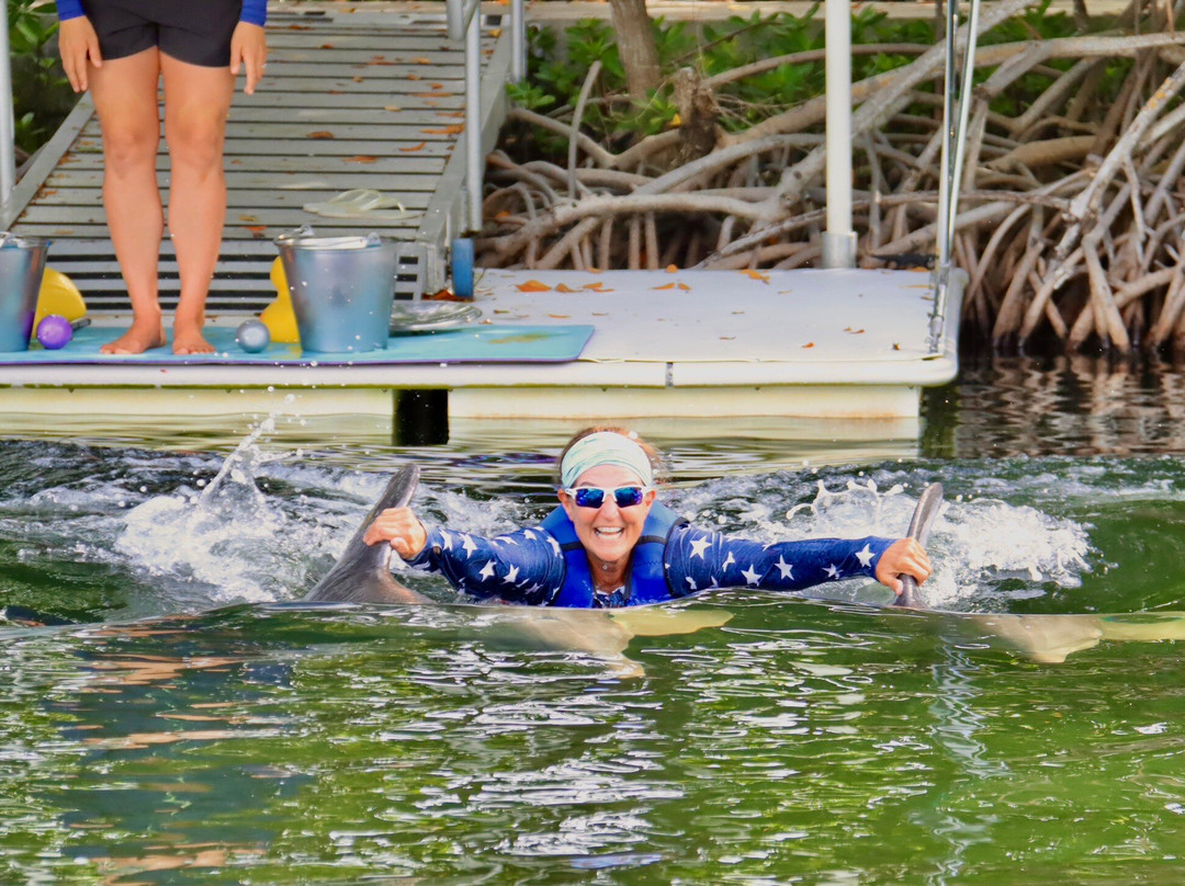 海豚商店-基拉戈-拉哥岛必去景点