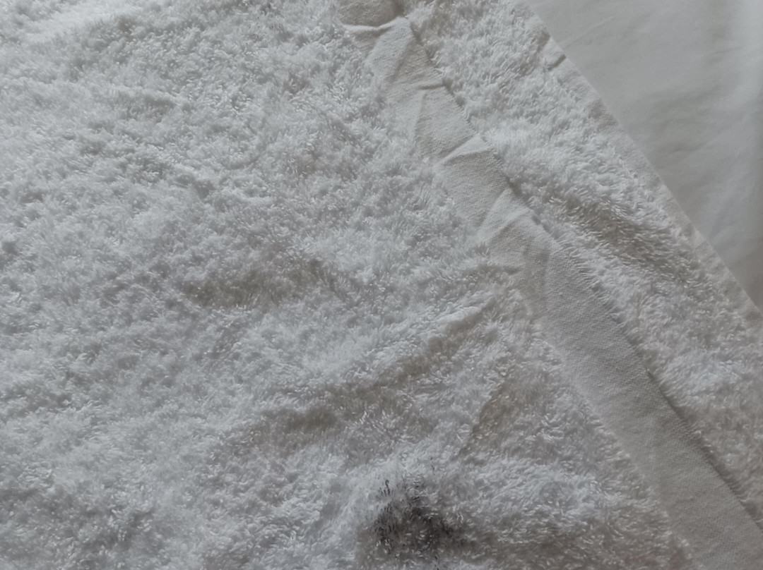 Days Inn by Wyndham Farmville主图