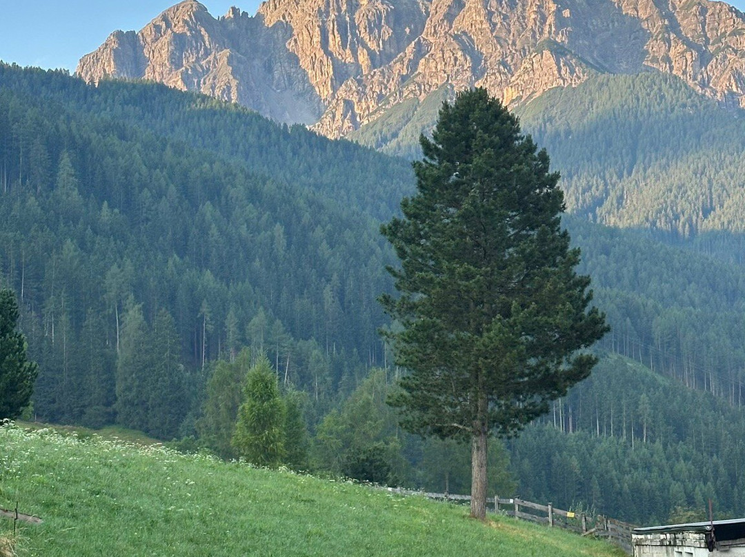 Hotel Bergkranz主图