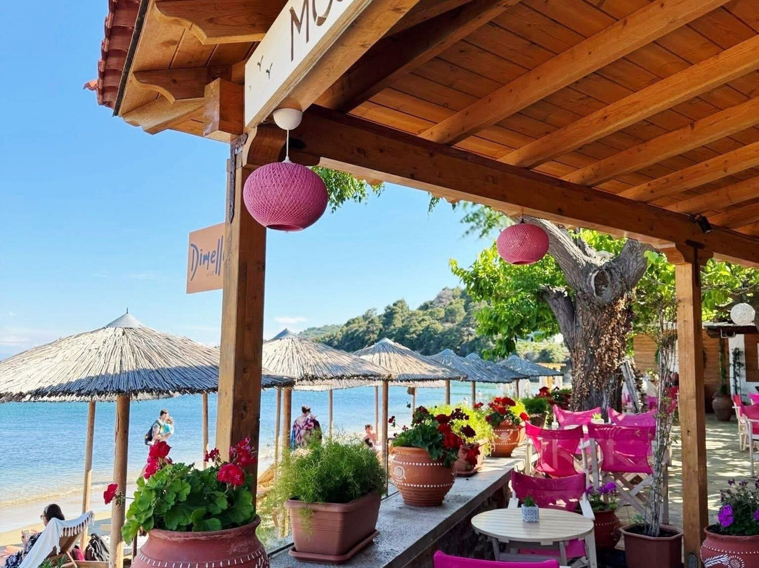 Mojo Bar by the Sea-Skiathos Town必去景点