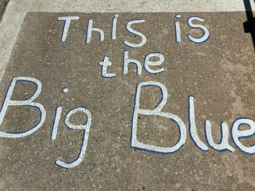 Pension The Big Blue主图