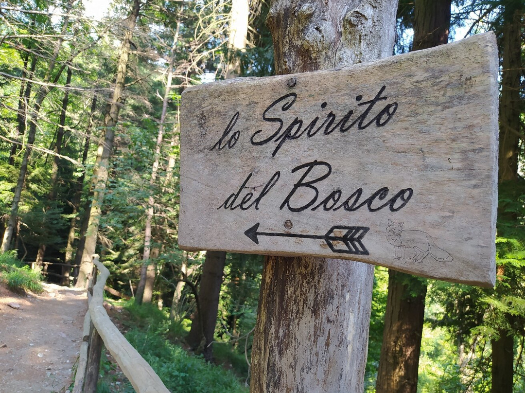 Sentiero Spirito del Bosco-Canzo必去景点