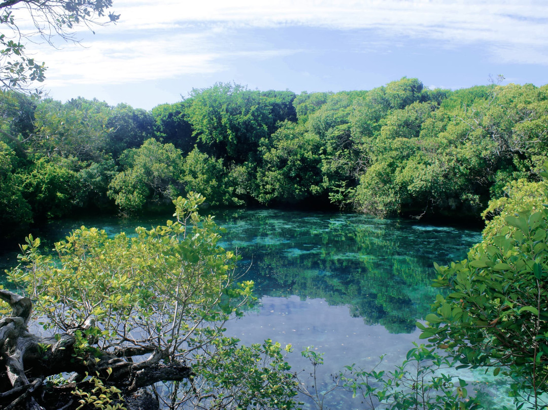 Safari Shwari Mafia Island-Utende必去景点