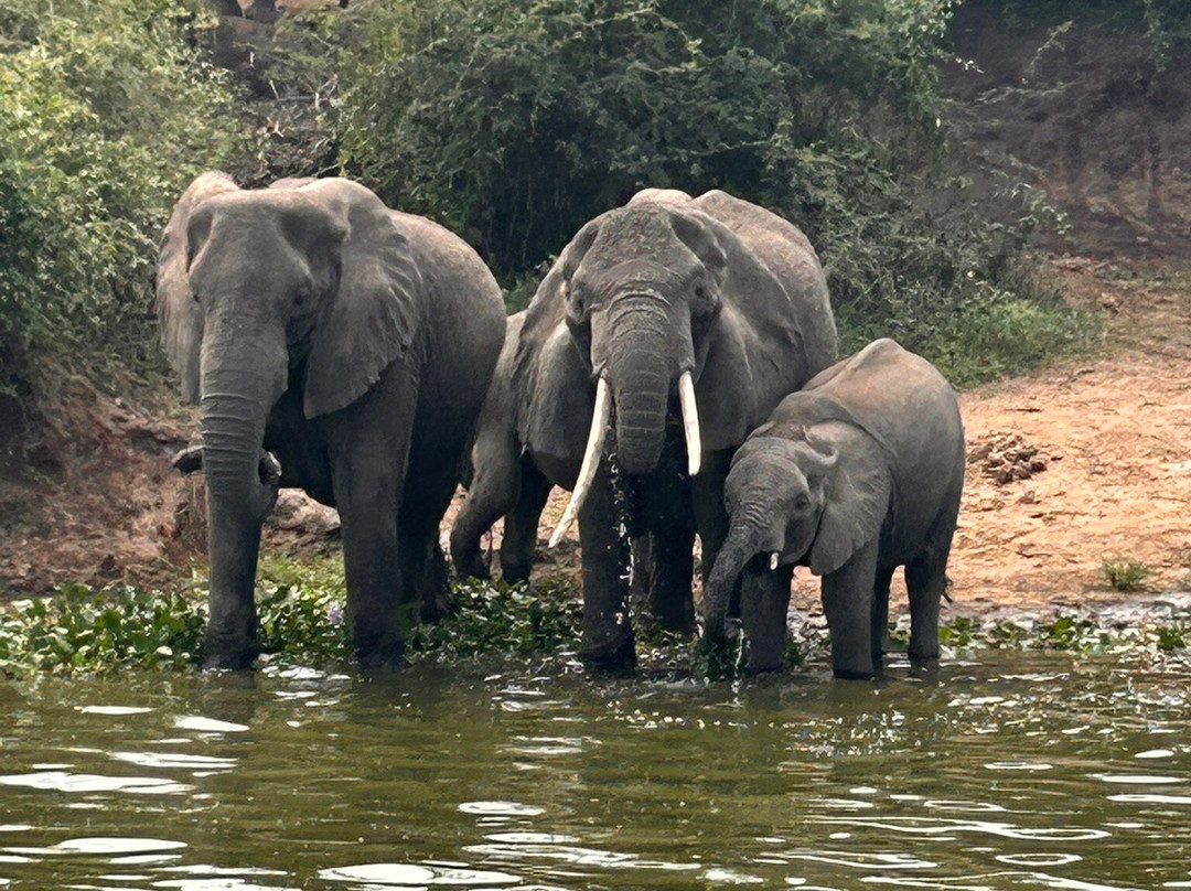 Aardvark Safari Lodge主图