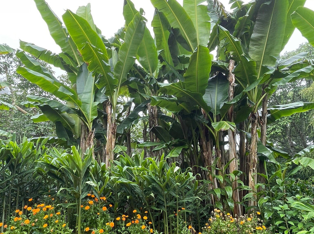 Overbecks Garden-Salcombe必去景点