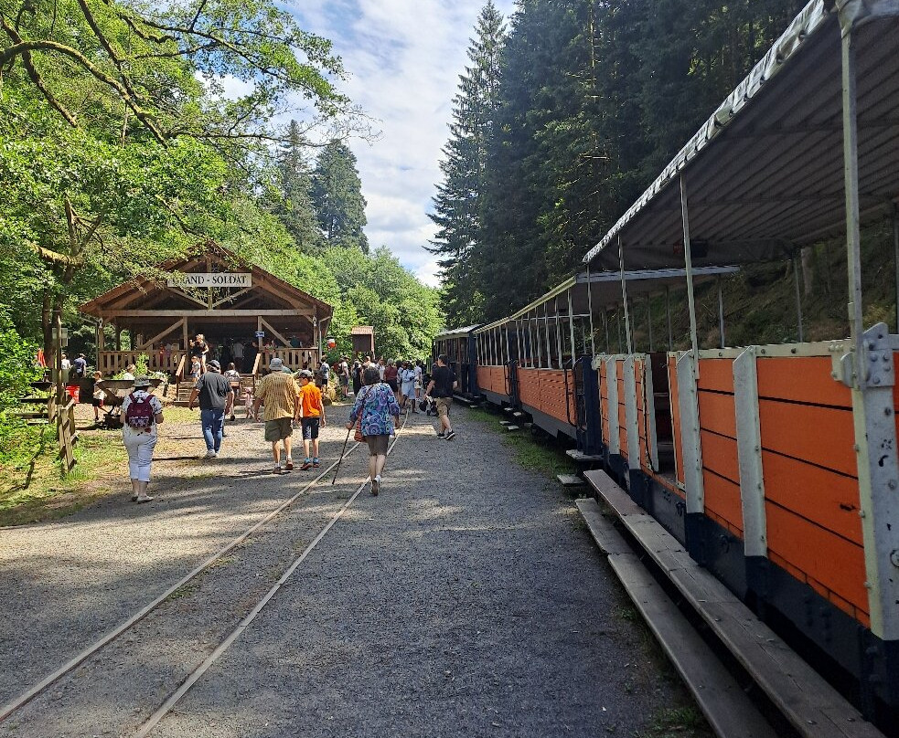 Train Forestier d'Abreschviller-Abreschviller必去景点