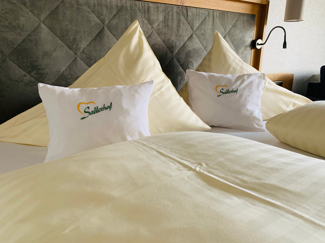 Hotel Sallerhof主图