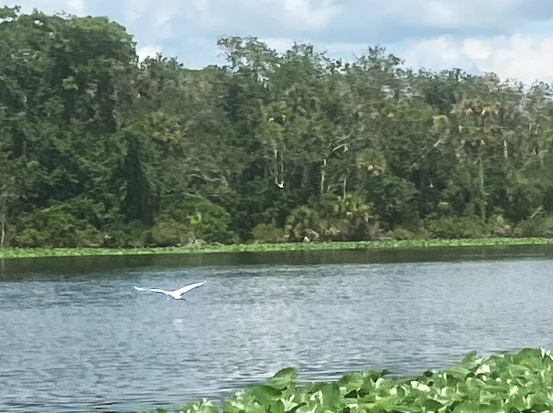 Alligator Kingdom Airboat Tours-Satsuma必去景点