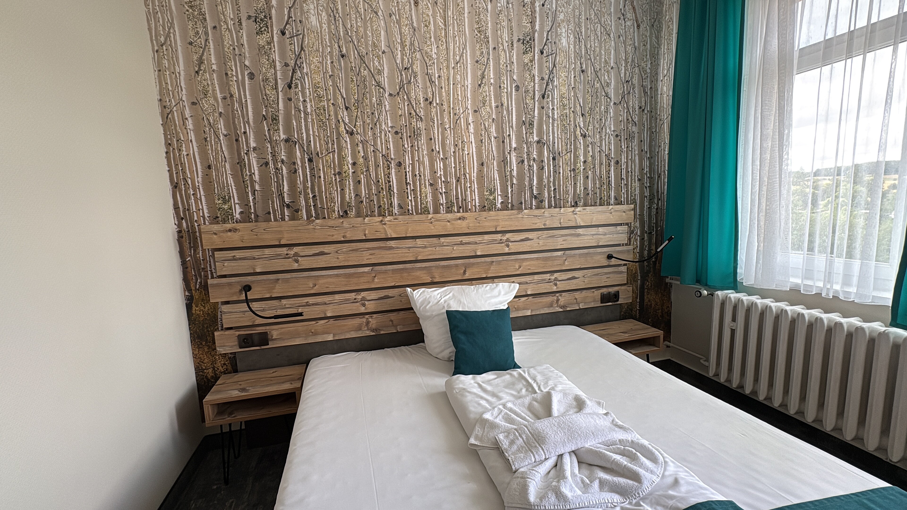 Panorama Ferien Hotel Harz-客卧