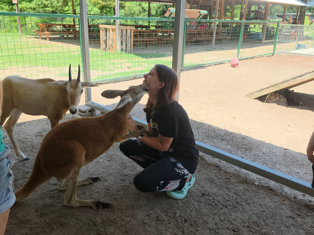 East Texas Gators and Wildlife Park-Grand Saline必去景点