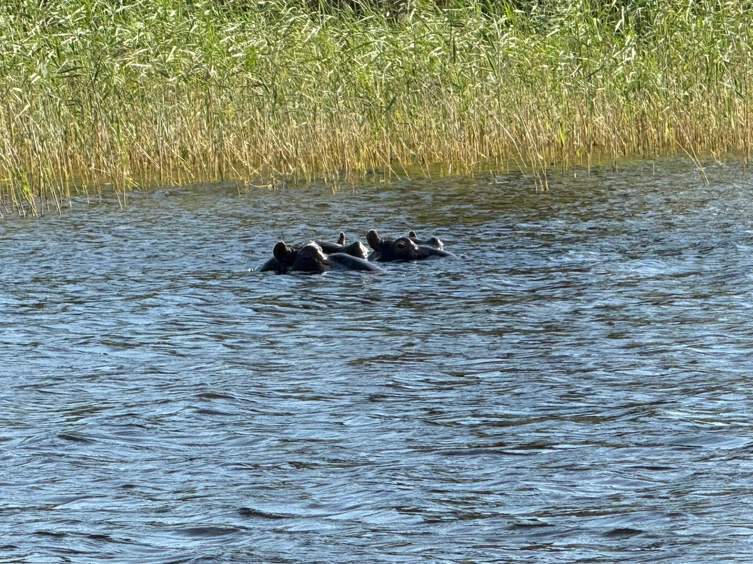 Kosi Bay Nature Reserve-Kosi Bay必去景点