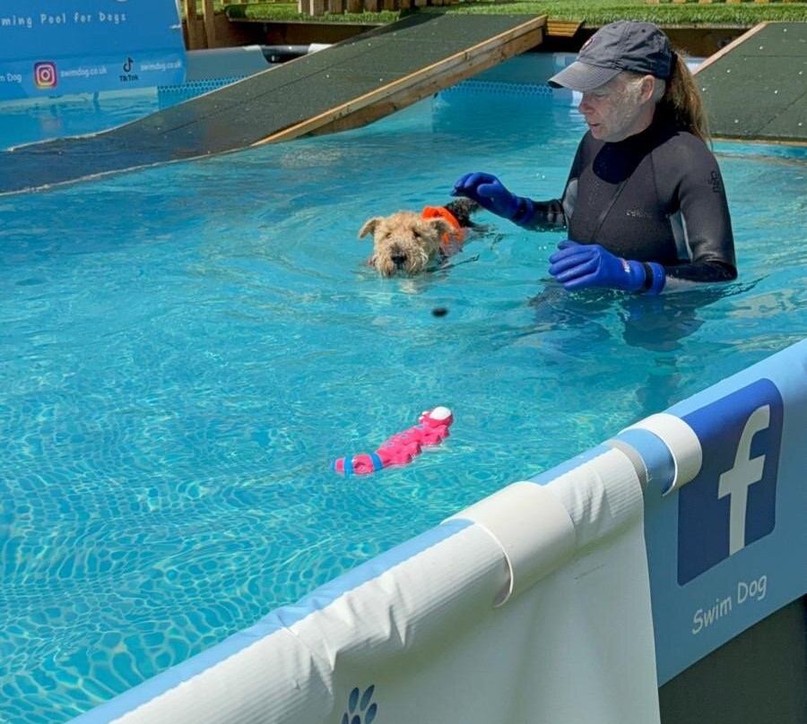 Swim Dog-纽奎必去景点