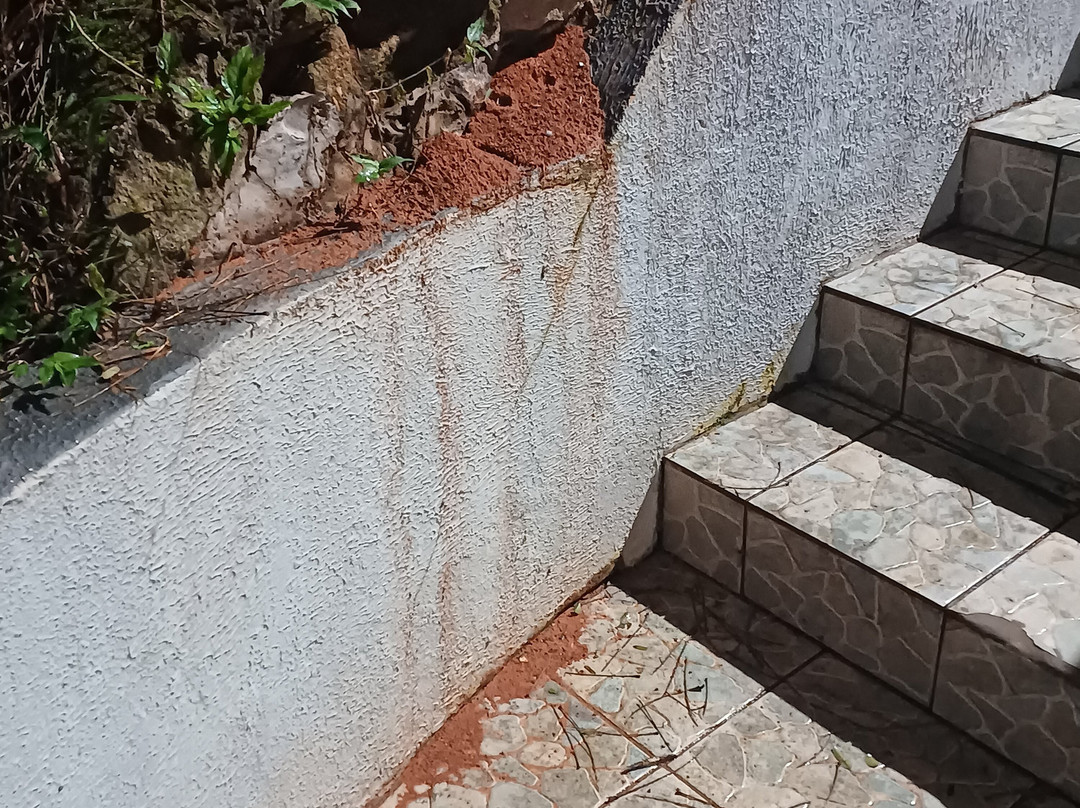 Pousada Varandas do Pinhal主图