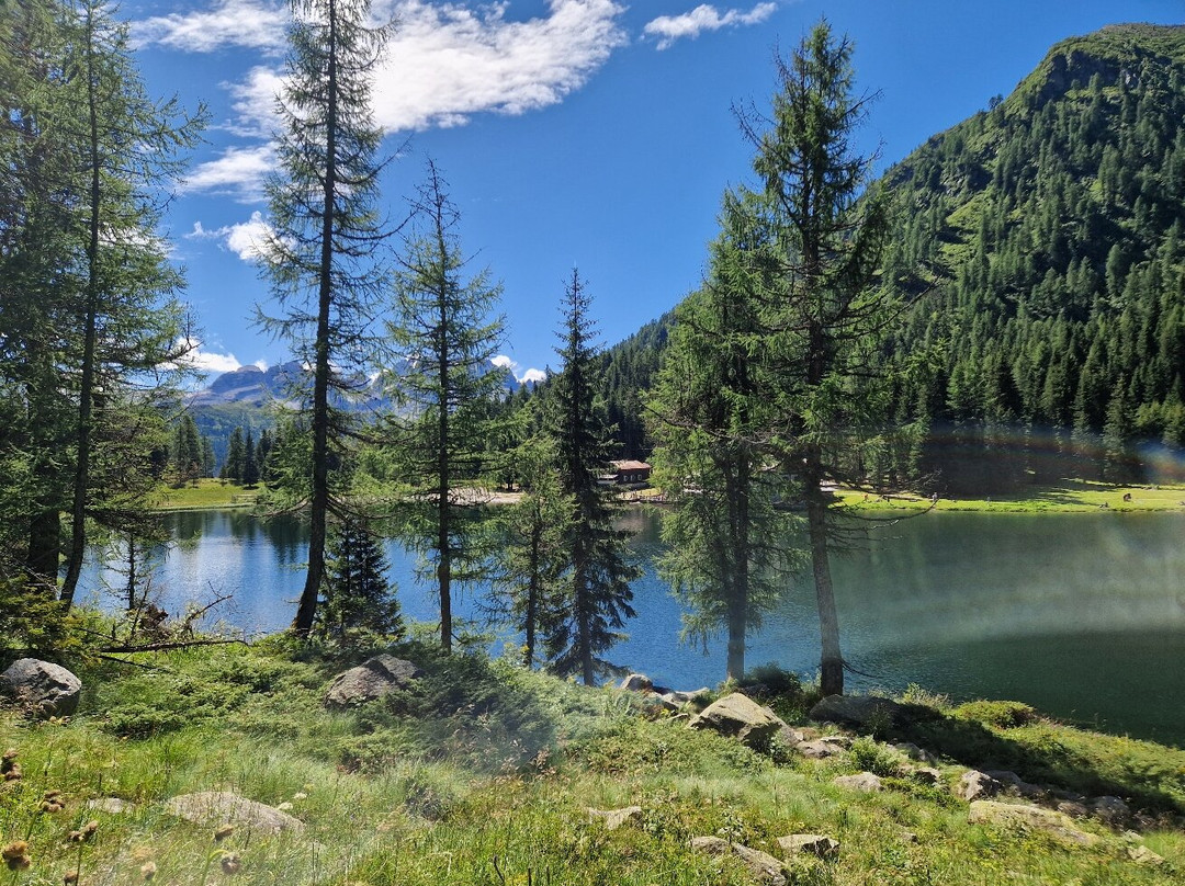 Lago Nambino-马多纳迪坎皮格里奥必去景点