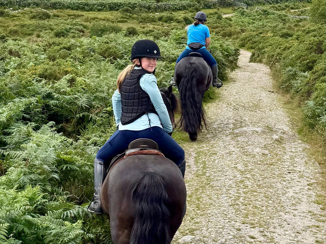 Shilstone Rocks-Widecombe in the Moor必去景点