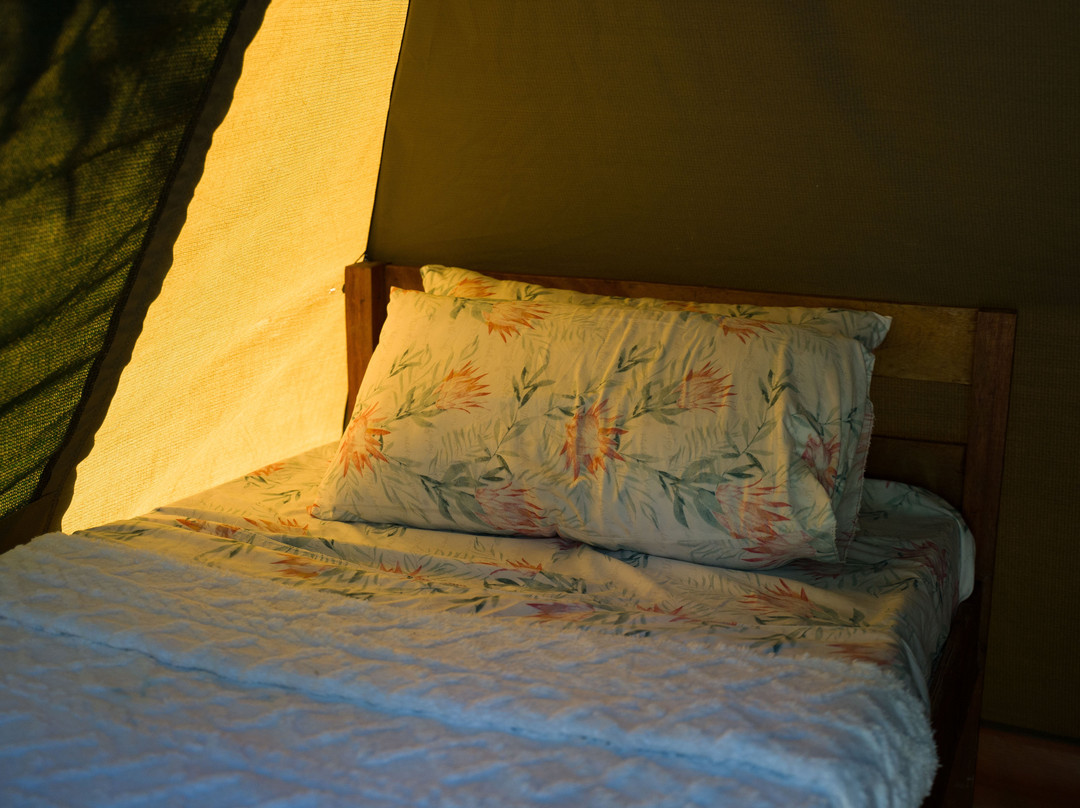 Camp Venus Lodge
